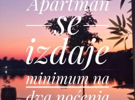 Apartman studio T&S, hotel in Veliko Gradište