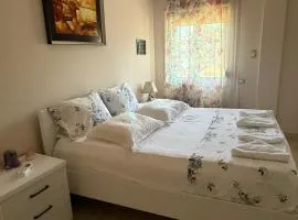 Nesti House