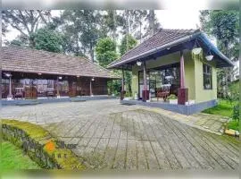 Misty D Silver Resort