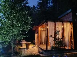 Wooden Mountain Villa