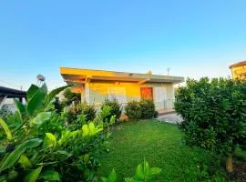 OLIVE Home