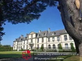 Grand Hôtel "Château de Sully" - Piscine & Spa -Teritoria