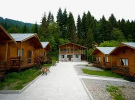Mountain Cabins