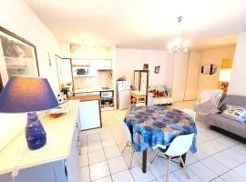 Appartement Cozy, 4 Pers, Centre-Ville, Proche Plage et Commerces - FR-1-92-877