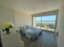 Charmant T2 rénové avec balcon et parking, accès direct plage - Saint Brevin - FR-1-364-115