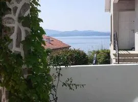 La Cruz del Sur - "CIES"