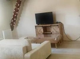 NEW Raiponce Suite 10min Disney