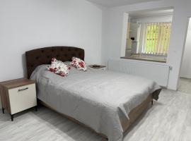 Ocna Escape 4、Ocna Mureşのホテル