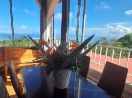 Gîte Bec Rose à mi-hauteur avec vue sur la côte, 2 chambres - FR-1-786-50