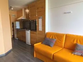 Studio rénové avec loggia et parking privatif - FR-1-553-306