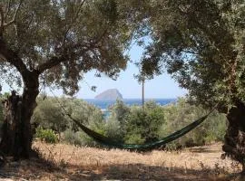Μικρό Ανάδιο