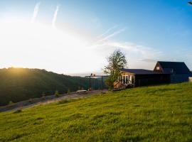 Cabana Oul Arsitei, villa en Pleşi