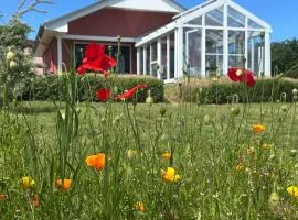 Ferienhaus bei den Kreidefelsen - Ihr Zuhause auf Rügen