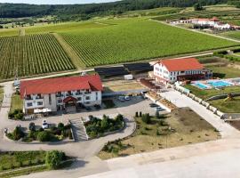 Pensiunea Fort Silvan，Camăr的附設泳池的飯店