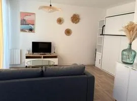 Appartement studio lumineux Port Haliguen vue mer