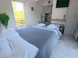 Double Suite 1ST FLOOR N4