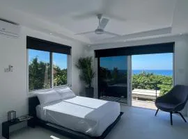 Luxury Modern Villa Pool& view
