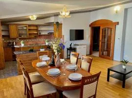 Comfortable 3 Bedroom apartment in the Heart of Prague