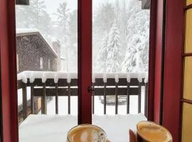 Cozy Vermont Escape near Stratton with Hot Tub, Game Room, Fireplace & Pond Views