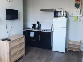 Rent studio 25 m2 city center, Brest