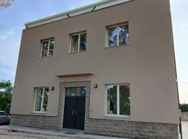 Oasi