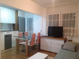 Batajnica centar