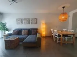 Bonito piso con piscina, playa la Tejita