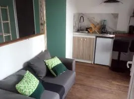 Studio thème Dublin à Valdivienne
