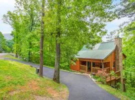 Smokies Cabin Life View Hot Tub Grill Game Room
