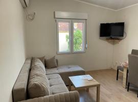 Apartment Lazar & Marco, מלון בפודגוריצה