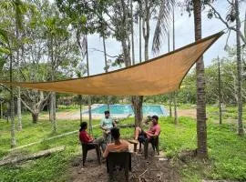 Dandeli Jungle Villa Resort