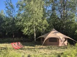 V ihliči