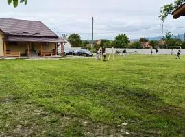 Cazare Valea Dinozaurilor