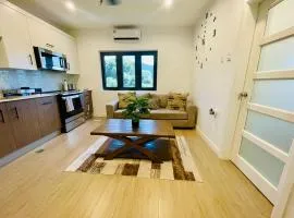 Luxury Condo in Port-Of-Spain