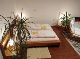 Gemütliches Apartment In Lohmen