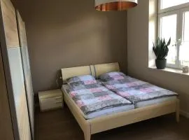 Ferienwohnung Theo