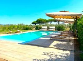 Private Villa Among Pine Trees And Lavender