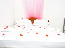 Cozy Secrets Hotel & Hostel, hotel v Dambulle