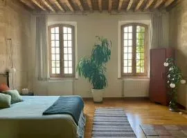 Le Patio d'Arles