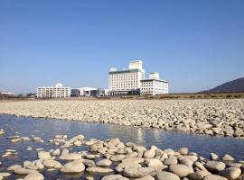 Gifu Grand Hotel, hotel a Gifu