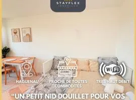 Le Nid Douillet - Parking Included - Haguenau