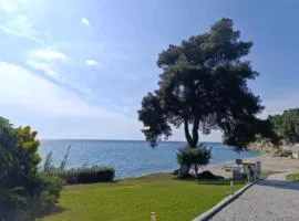 Elani horizon