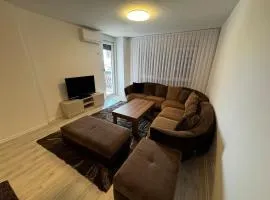 Modern Apartment Walk to Everything!