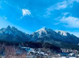 MonteView