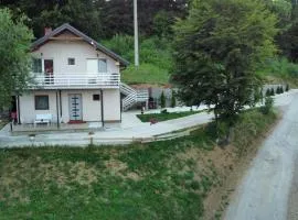 Vila Vlasina
