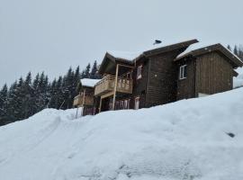 Apartment in Voss - Tr&aring;st&oslash;len，斯屈勒斯塔穆的住宿