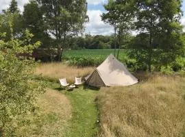Boutique tent bij Laaken op Zand unieke plek in het groen met luxe bed
