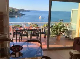 Vue Panoramique Exceptionnelle Mer, Montagne et Village l T2 Luxueux