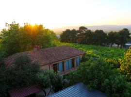 Kolkhis Ezo, hotel u gradu Chʼardakhi