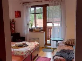 Apartmán Malinô Brdo Hrabovo Fatrapark 1